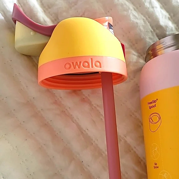 Owala FreeSip® 32 oz Insulated Stainless Steel Water Bottle