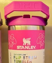 Stanley Cup IceFlow Flip Straw Tumbler 30 oz (900 ml) | Limited Edition