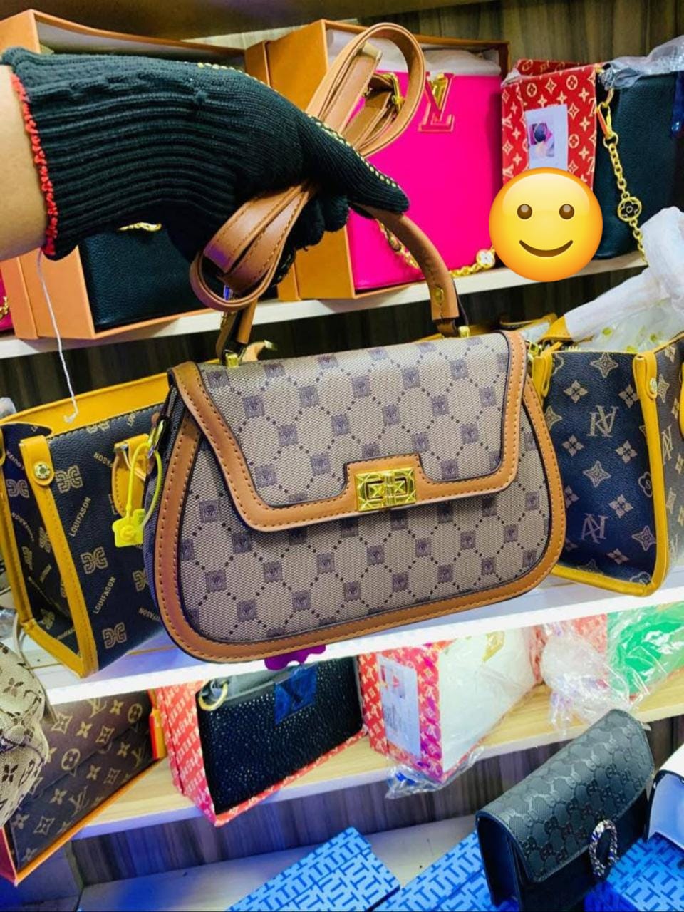 Designer-Inspired Printed Handbags for Women