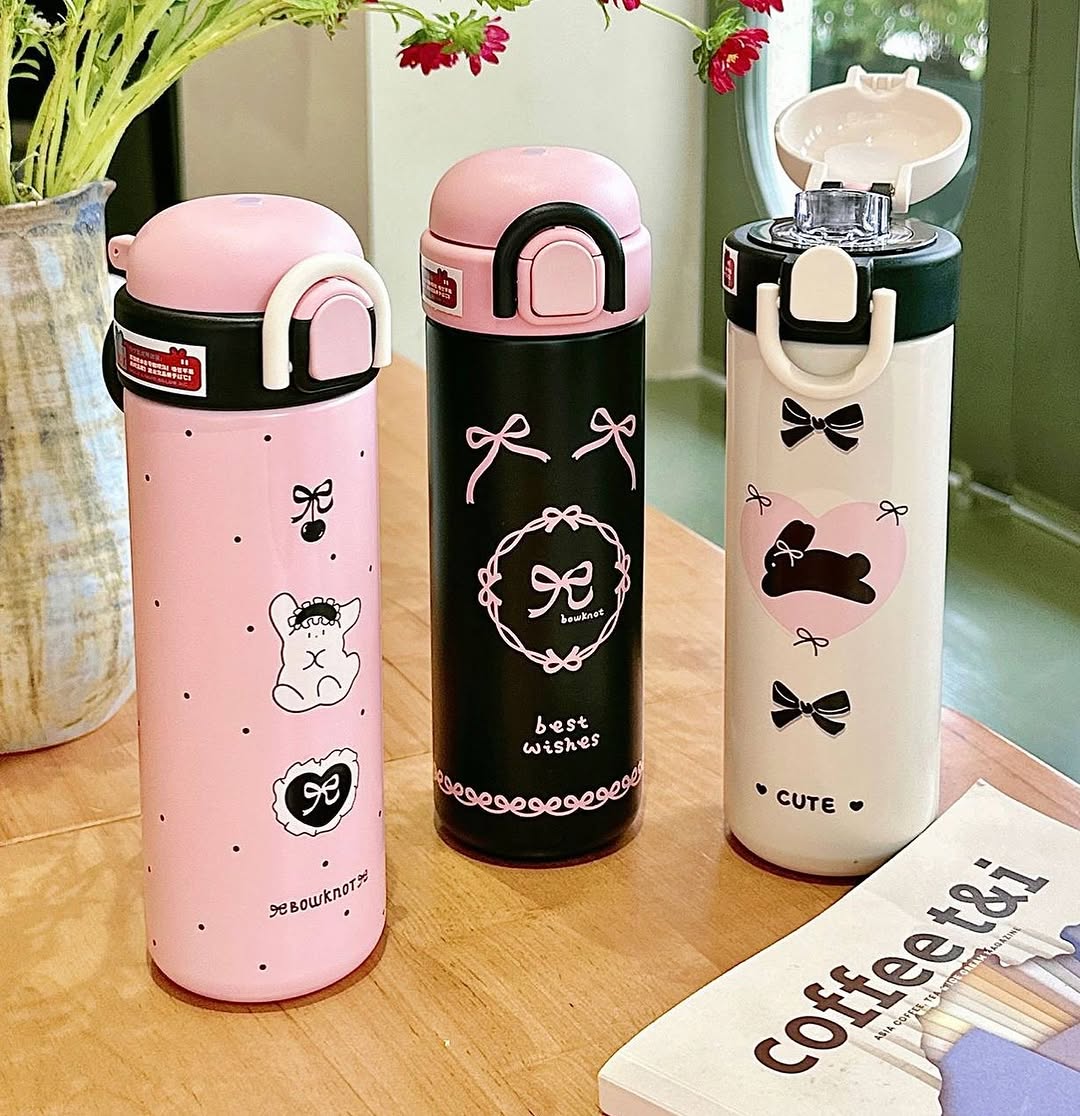Kawaii Double Wall Insulated Bottles (500ml)