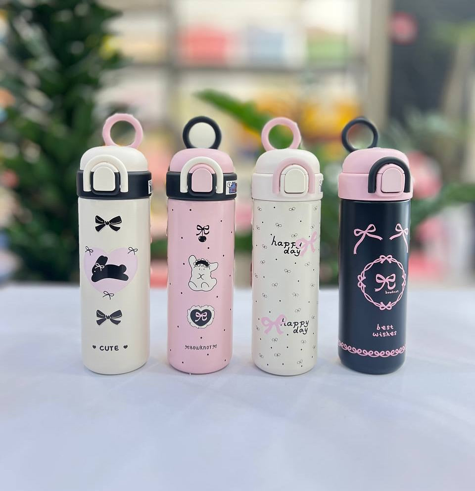 Kawaii Double Wall Insulated Bottles (500ml)