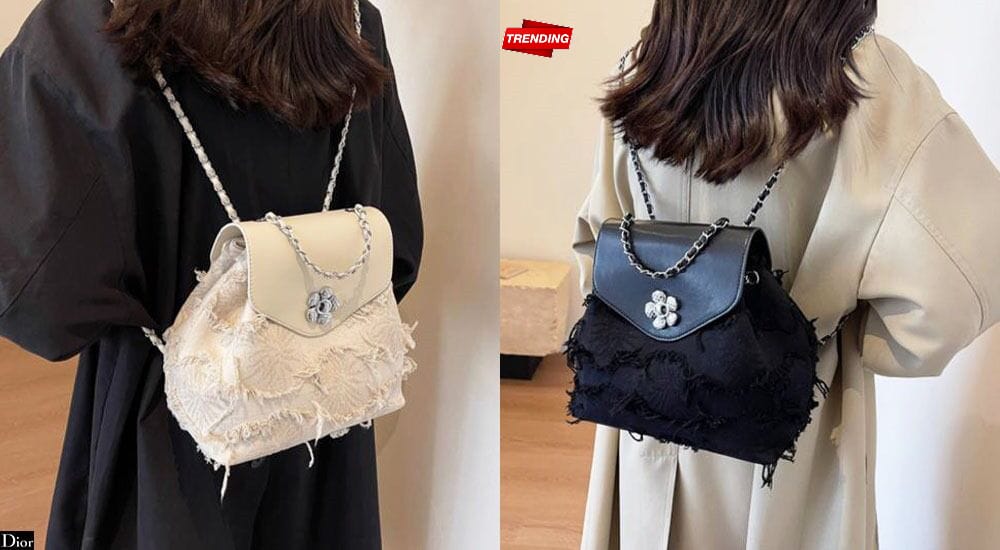 Dior Style Small Backpack | High Quality Imported | 10x9 Inch