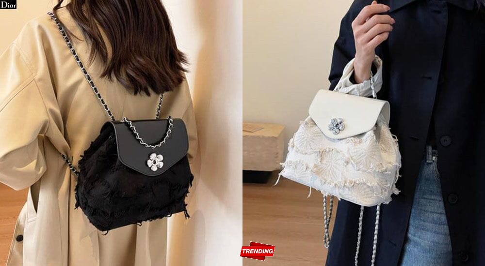 Dior Style Small Backpack | High Quality Imported | 10x9 Inch