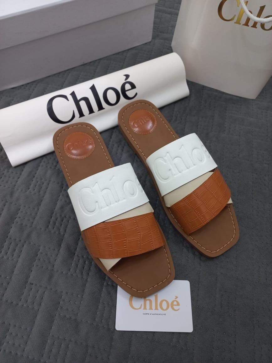 Chloé Premium Flats| Export Quality | First Time in India | Size 36–41 | With Brand Box & Dust Cover