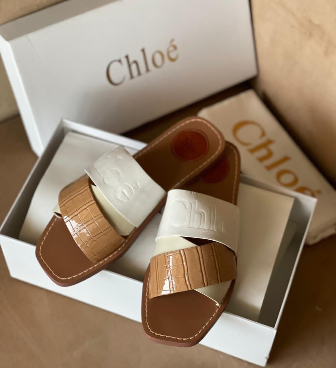 Chloé Premium Flats| Export Quality | First Time in India | Size 36–41 | With Brand Box & Dust Cover
