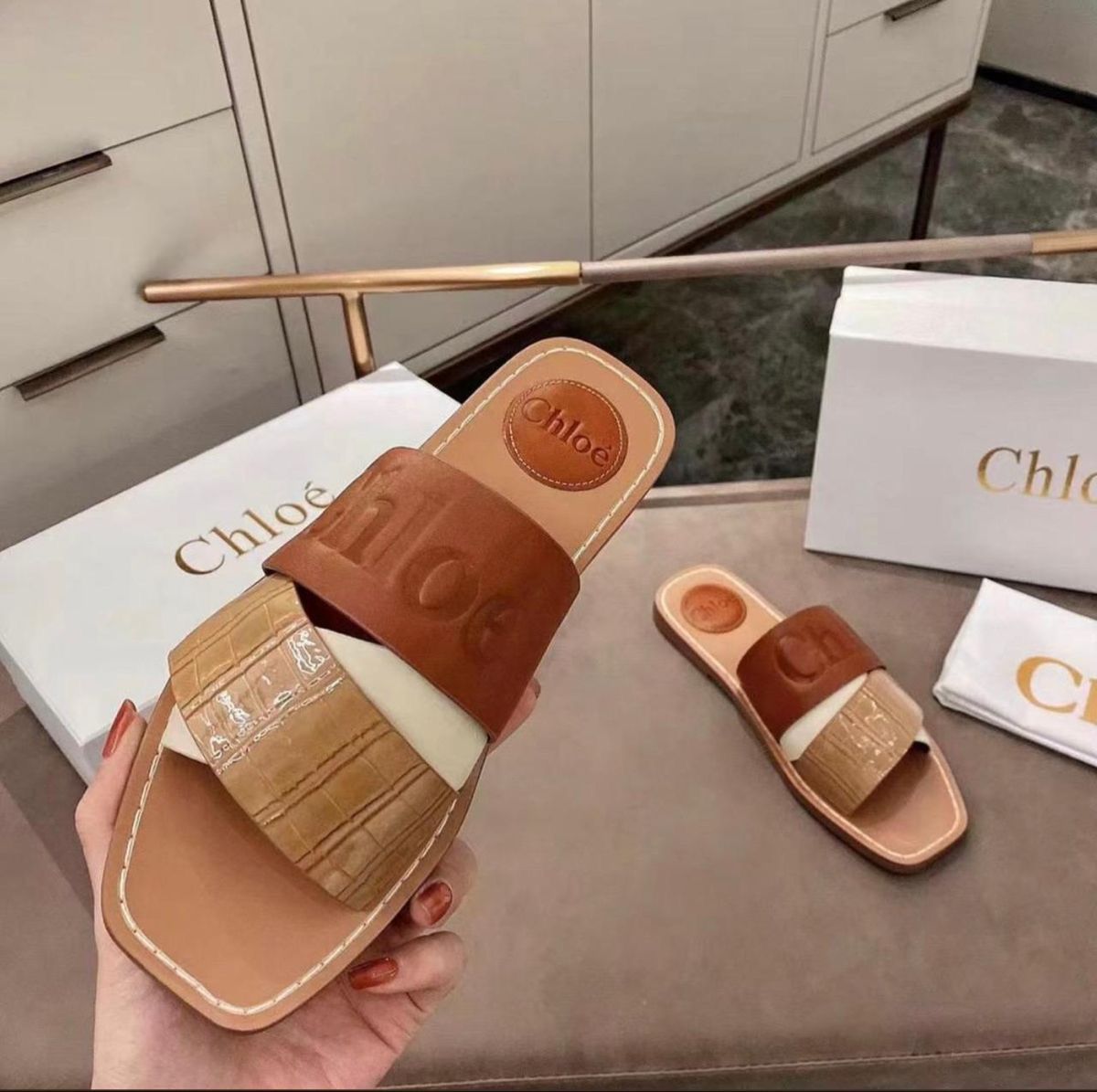 Chloé Premium Flats| Export Quality | First Time in India | Size 36–41 | With Brand Box & Dust Cover
