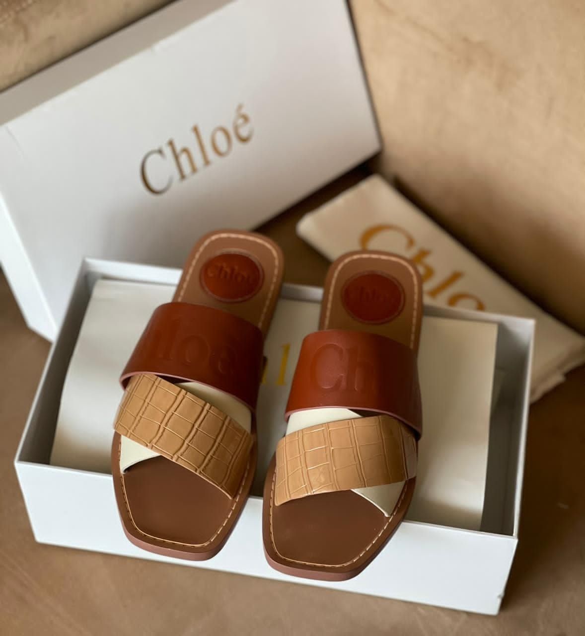 Chloé Premium Flats| Export Quality | First Time in India | Size 36–41 | With Brand Box & Dust Cover