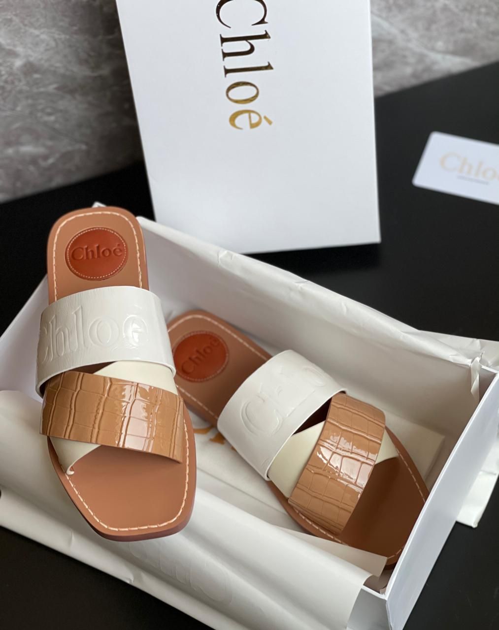Chloé Premium Flats| Export Quality | First Time in India | Size 36–41 | With Brand Box & Dust Cover